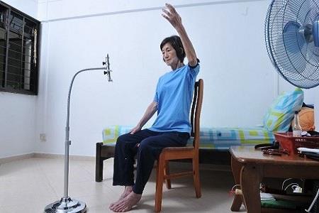 Doing Physiotherapy Exercises from Home through Tele-Rehabilitation