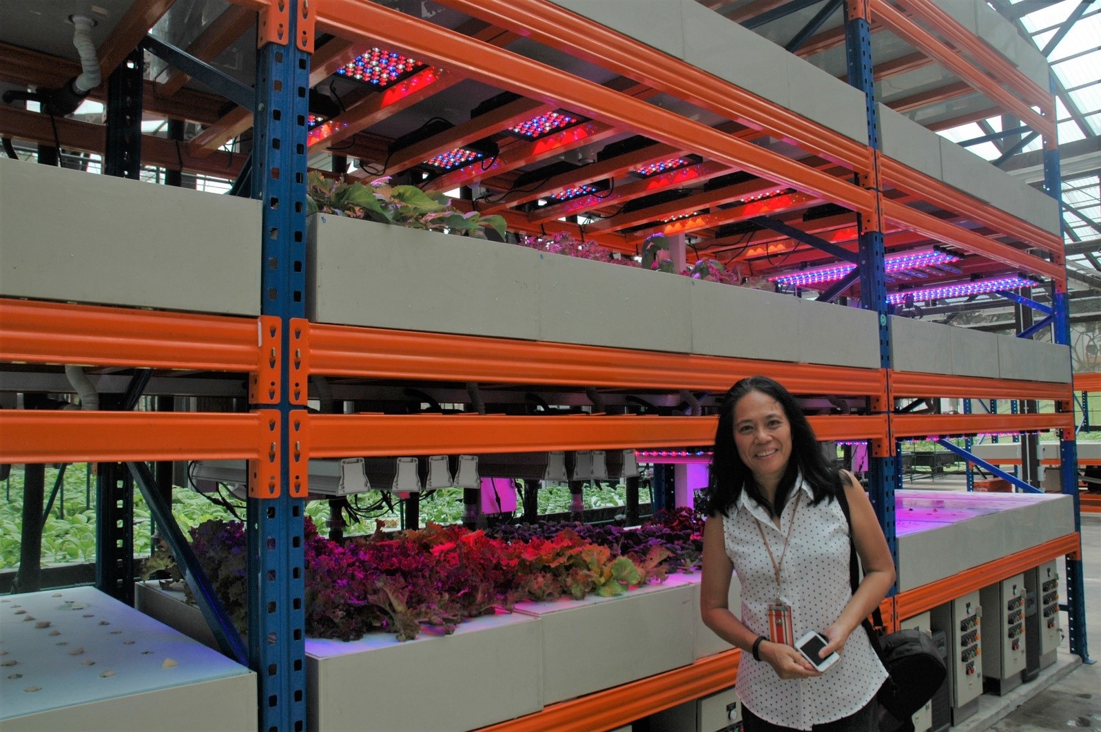 Ensuring Food Security and Sustainability in Singapore with a Vertical Farming System